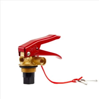1 kg Feuerlöscher Vavle